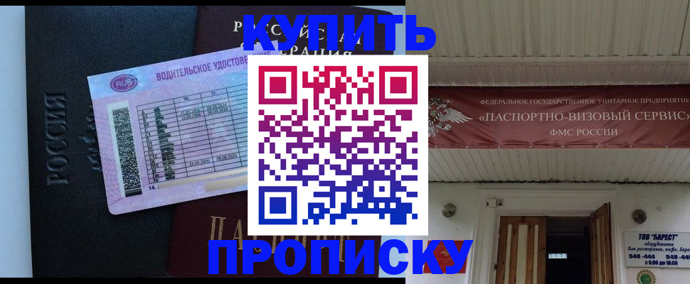 временная регистрация поиск в Зее